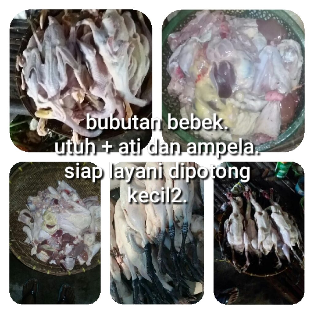 Karkas Ayam Kampung Nganjuk