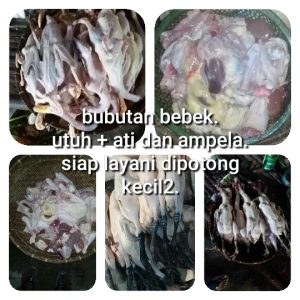 Karkas Ayam Kampung Nganjuk